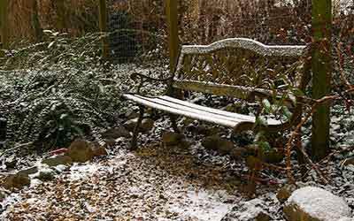 Au jardin ce mois-ci : quels travaux réaliser en décembre ?