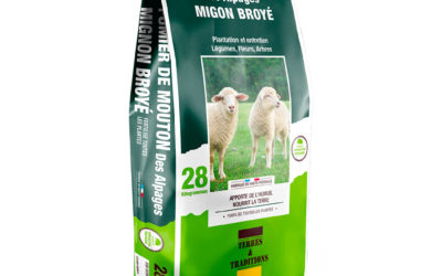 Le fumier de mouton : un allié naturel pour enrichir votre sol