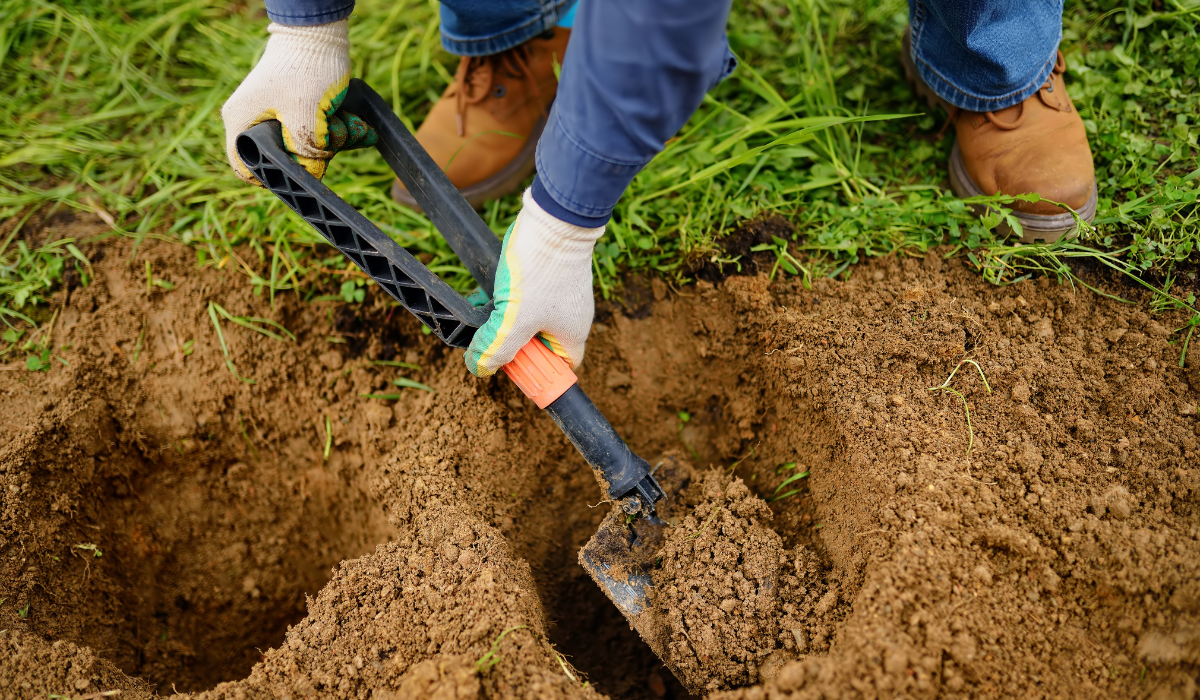 Arrosage goutte à goutte écoresponsable pour potager. Solution économique pour réduire la consommation d'eau et protéger le potager du soleil en été.