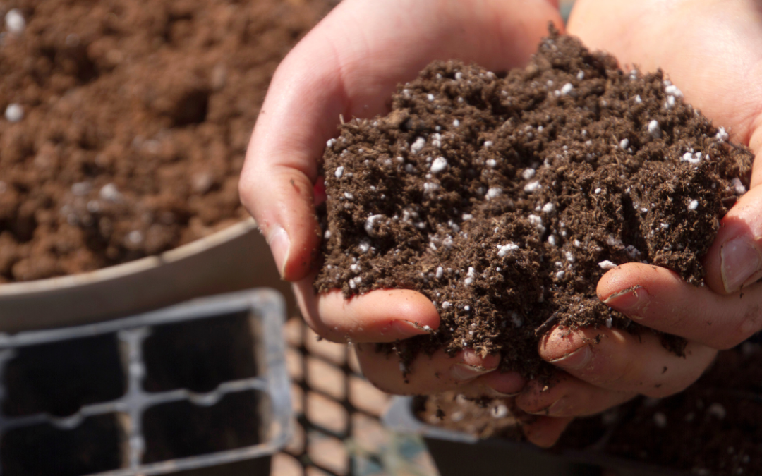 Comment fertiliser votre sol en hiver ?