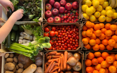 Le potager en septembre : que planter et récolter ?