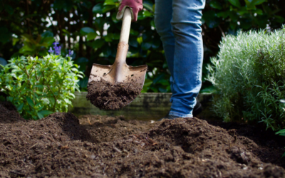 Retourner la terre du jardin : quand, pourquoi et comment ?