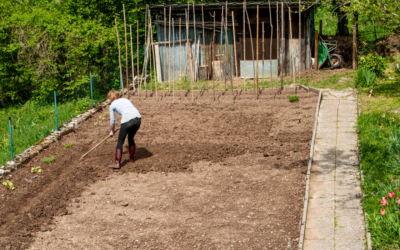 Préparer son potager pour le printemps : étapes clés et conseils pratiques